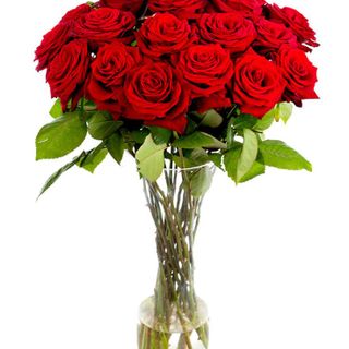 Premium Long Stem Red Roses