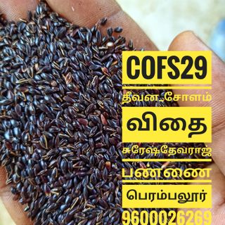 COFS 29