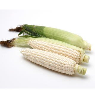 White Corn (3 nos/5nos)