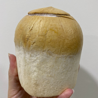 Thai Precut Coconut