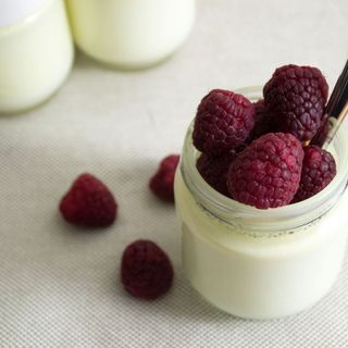 Raw Yogurt - Half Gallon Image