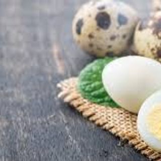 Quail Egg