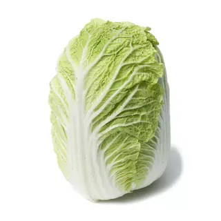 Chinese Cabbage