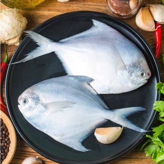 Pomfret -     1kg