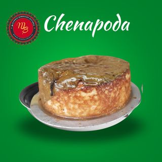 Chenapoda