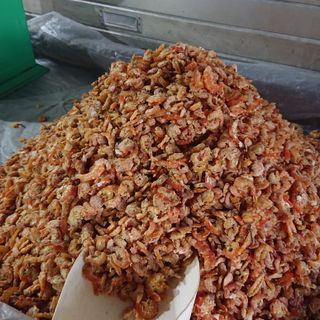 EBI UDANG KERING (kiloan)