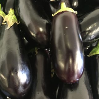 Aubergine