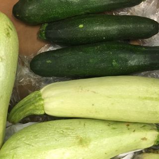 Zucchini