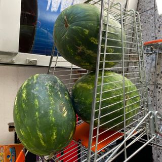 Wassermelone (voll)