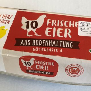 Eier (10 Stück)