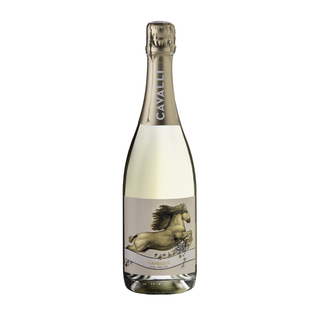 Cavalli Capriole MCC 2019