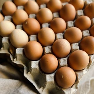 Large Eggs - Tray (30 Eggs) 