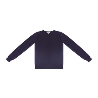 Navy solid sweater