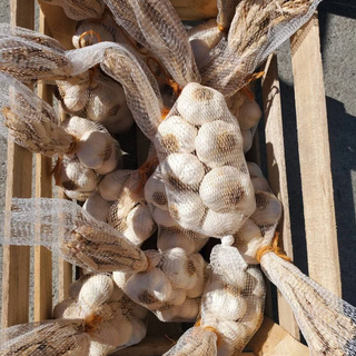 Gilroy Garlic(10qty) 串裝大蒜10顆  Image