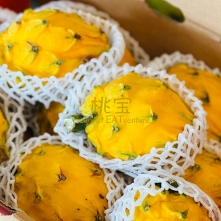 ECUADOR Yellow Dragonfruit