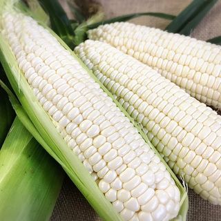 White Corn