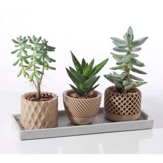 A5 - Lot de trois pots de plante