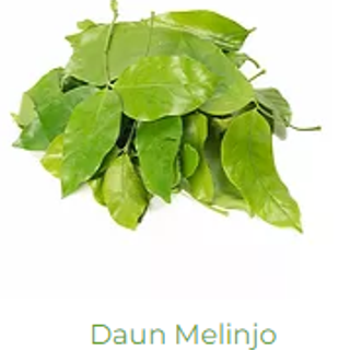 Daun Melinjo