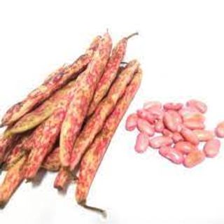 Kacang Merah