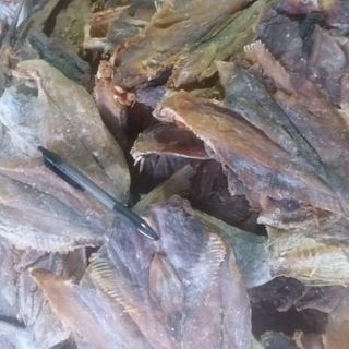 IKAN ASIN GULAMA (Kepala Batu) / kg